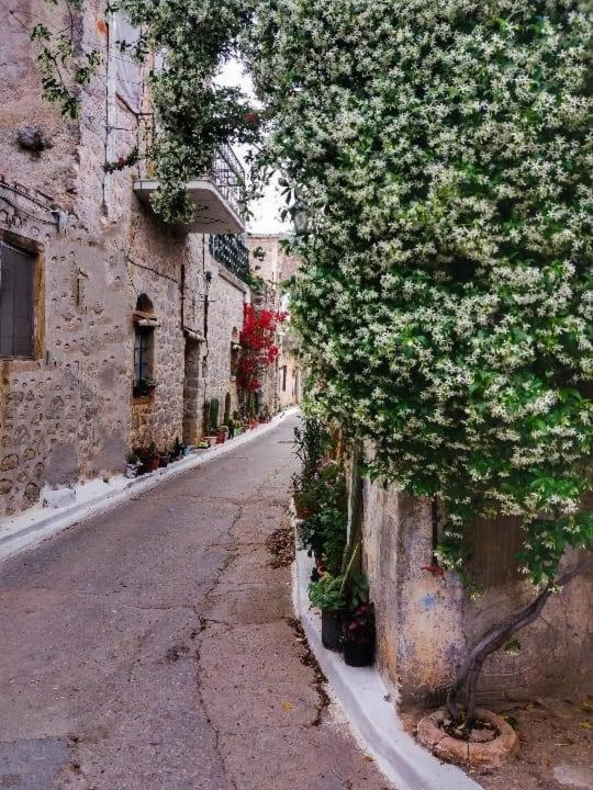 Chios Mantalenas Apartments Véssa Екстериор снимка